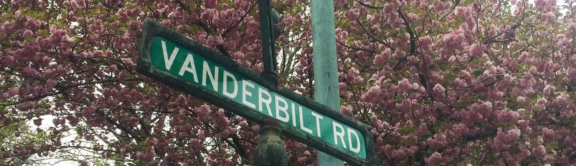 Road sign reading "Vanderbilt" with a blooming cherry blossom tree in the background.