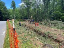 Photo of tree removal along creek bank and Cedar Hill Road