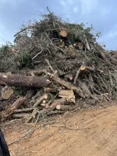A closer look at a debris pile at TMDS