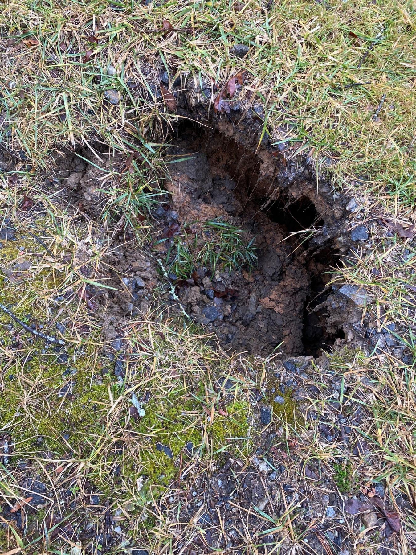 Close up view of sink hole Sinkhole close up