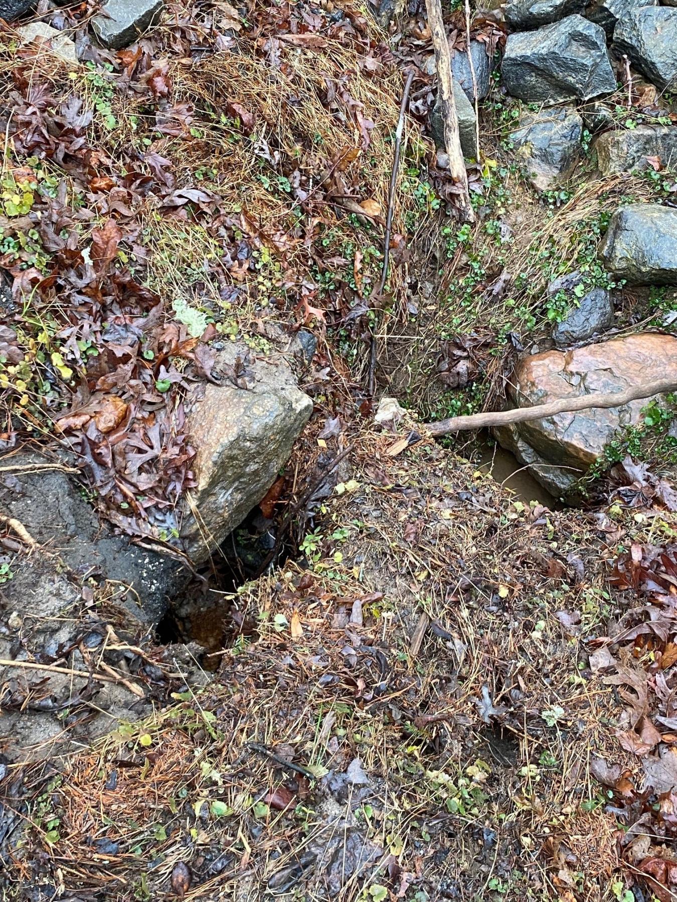 inlet sinkhole